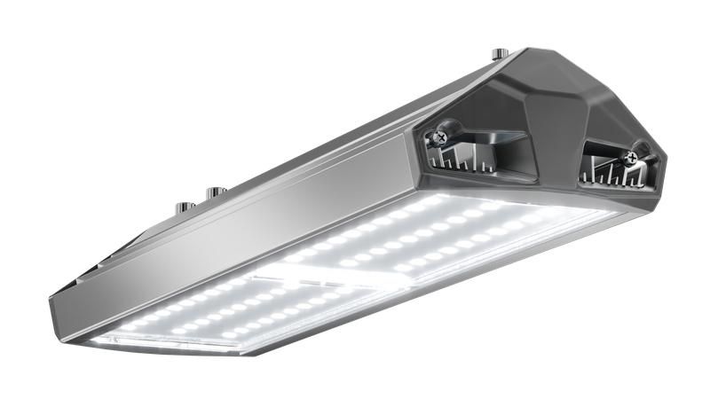 Светильник светодиодный ДКУ 100 740 Д ЕСАУЛ IP66/67 уличныйуличный Технологии света УТ000020650