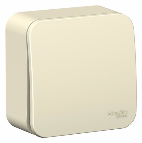 Выключатель 1-кл. ОП Blanca 6А IP20 (сх. 1) 250В с изолир. пластиной молочн. SE BLNVA061012 APC