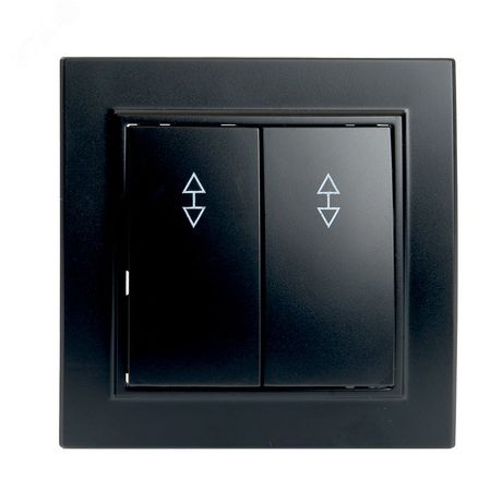 Переключатель двухклавишный, 250В, 10А, серия Эрна, черный Stekker - PSW10-9008-03 39921 FERON