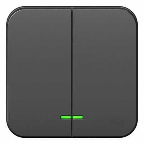 Выключатель BLANCA двухклавишный наружный (схема 5) с подсветкой и изоляционной пластиной 10а 250b антрацит - BLNVA105116 APC