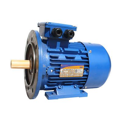 Электродвигатель (5АИ) 80 В8 0.55,0кВт 750 об./мин. IM 2081 (комби) | 01.01.213551 Элком ОРЛАН