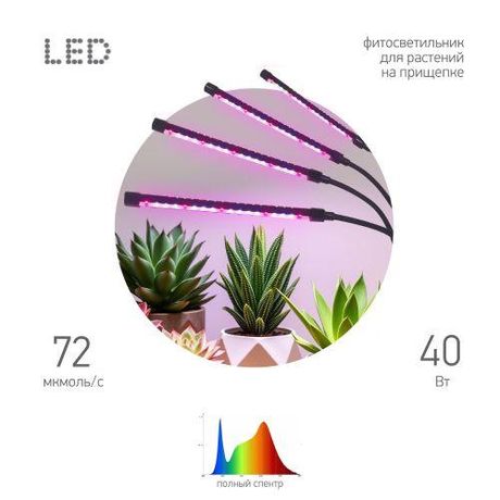 Светильник светодиодный для растений на прищепке полного спектра 40 Вт FITO-40W-АLED-RaL - Б0068288 ЭРА