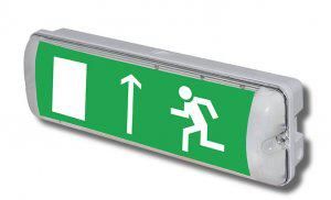 Табло охранно-пожарное Молния-220 РИП AQUA исп.1 без надписи IP65 220В 3ВА Арсенал безопасности 256095