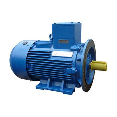 Электродвигатель взрывозащищенный АИМУ 180 S4 22/1500 IM 2001 Орлан - 01.02.02.000450