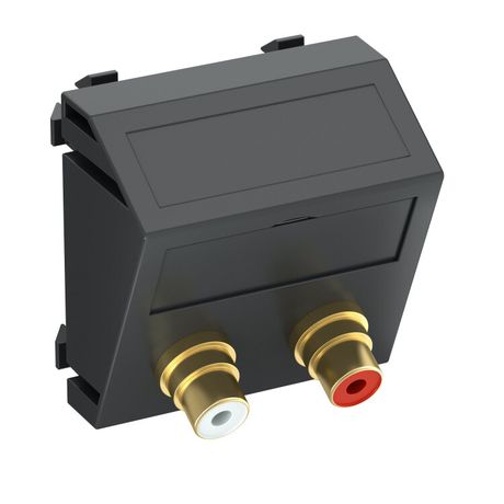 Мультимедийная рамка Audio-Cinch Modul45 (черный) (MTS-2R L SWGR1) | 6105057 OBO Bettermann