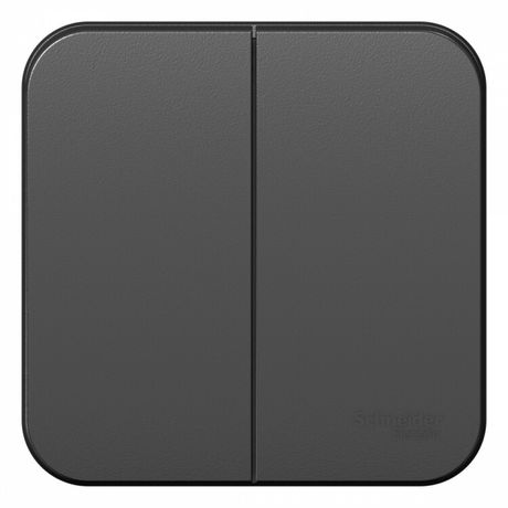 Выключатель 2-кл. ОП Blanca 10А IP20 (сх. 5) 250В антрацит SE BLNVA105006 APC