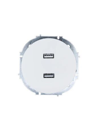 Розетка 2-м СП OSEN USB разъем бел. LEZARD 743-0288-192