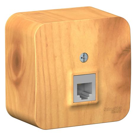 Розетка телефонная 1-м ОП Blanca RJ11 с изолир. пластиной ясень SE BLNIA011005 APC