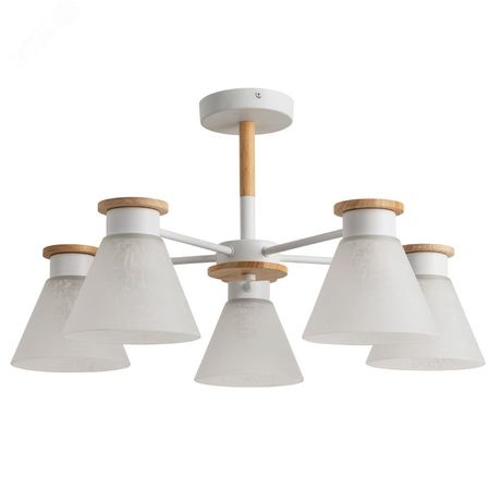 Люстра потолочная TYLER E27 5х60Вт Металл Белый - A1031PL-5WH Arte Lamp