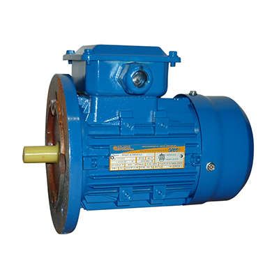 Электродвигатель (5АИ) 63 В6 0,25кВт 1000 об./мин. IM 3081 (фланец) | 01.01.216686 Элком ОРЛАН