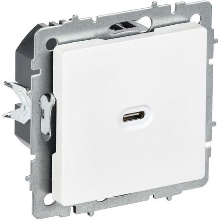 Розетка СП BRITE РЮ12-1-БрАБ USB C 65Вт высокоскор. заряд. арктич. бел. IEK BR-U13-065-K91