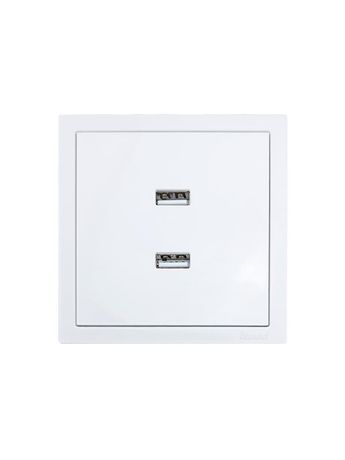 Розетка 2-мест. USB разъем СП ZIMA IP20 бел. LEZARD 704-0288-192