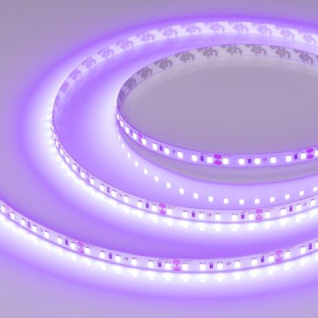 Светодиодная лента RT-A120-8mm 24V Violet (9.6 W/m, IP20, 2835, 5m) (Arlight, -) | 043384 Arlight