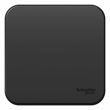 Выключатель BLANCA одноклавишный наружный (схема 1) 10A 250B антрацит - BLNVA101006 APC