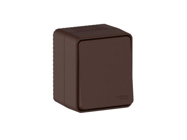 Переключатель проходной 1-кл. ОП AtlasDesign PROFI IP54 10AX корич. SE ATN546061 APC