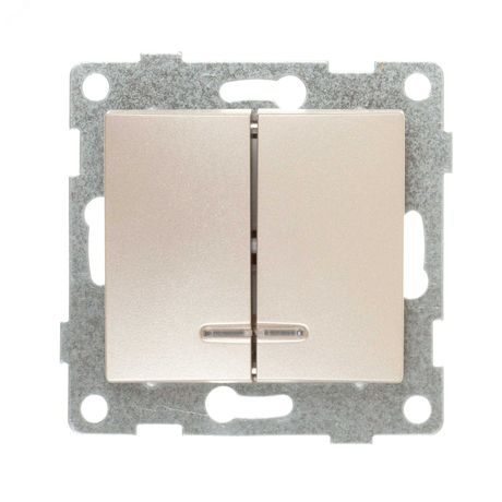 Выключатель двухклавишный Bravo инд, механизм, 10А, 250В, шампань - С10В28-027 GUSI