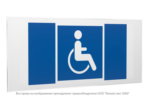 Знак безопасности PS-50206.D02''Символы доступ. для инвалидов всех категорий'' - a20736 BS