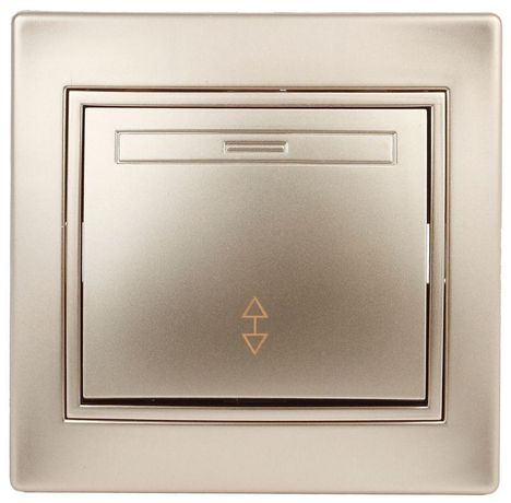 Переключатель Intro Plano 1-103-04 одноклавишный 10А-250В, IP20, СУ, шампань | Б0053748 ЭРА