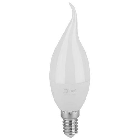 Лампа светодиодная GREEN LINE LED BXS-8W-865-E14 GL E14 8 Вт свеча на ветру холодный свет | Б0067138 ЭРА