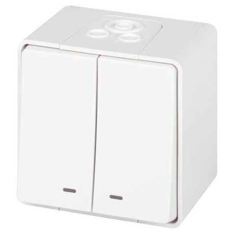 Выключатель двухклавишный наружный (открытой установки) с подсветкой IP55 белый 10А 250В винтовые зажимы ЭРА Эксперт 11-1505-01 - Б0063282