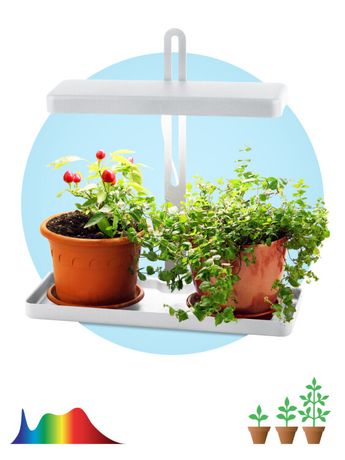 Светильник светодиодный для выращивания растений FITO-20W-QLED-W ЭРА - Б0039034