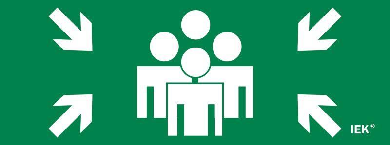 Этикетка самоклеящаяся 240х90мм ''Место сбора'' IEK - LPC10-1-24-09-MSTS