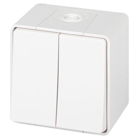 Выключатель двухклавишный наружный (открытой установки) IP55 белый 10А 250В винтовые зажимы ЭРА Эксперт 11-1504-01 - Б0063257