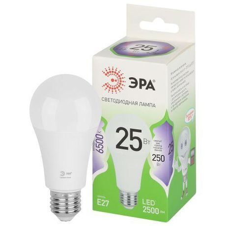 Лампа светодиодная LED 25 Вт 2500Лм 6500К груша холодный E27 220-240В A60-25W-865-E27 Green Line - Б0067111 ЭРА