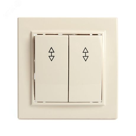 Переключатель двухклавишный, 250В, 10А, серия Эрна, слоновая кость, Stekker - PSW10-9008-02 39920 FERON