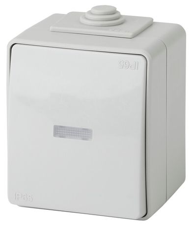 Выключатель 1-кл. ОП Эра Эксперт 10А IP65 11-1602-03 250В 10AX с подсветкой сер. Б0035974
