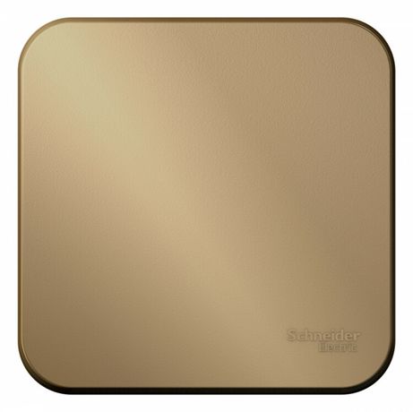 Выключатель одноклавишный наружный BLАNCА (cх.1) с самовозвратом, изолирующей пластиной, 10А, титан - BLNCA101014 APC