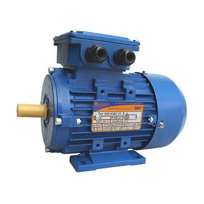 Электродвигатель (5АИ) 63 В4 0.37,0кВт 1500 об./мин. IM 1081 (лапы) | 01.01.213529 Элком ОРЛАН