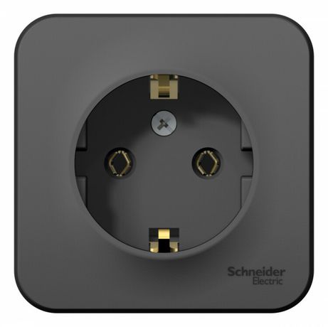 Розетка 1-м ОП Blanca 16А IP20 250В с заземл. без защ. шторок антрацит SE BLNRA010106 APC