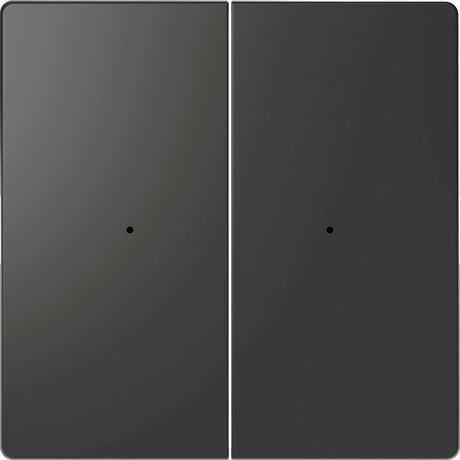 Клавиша двойная Merten D-Life PlusLink без символов SD антрацит SchE MTN5220-6034 APC