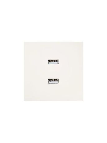 Розетка 2-мест. USB разъем СП ZIMA IP20 слон. кость LEZARD 704-9088-192