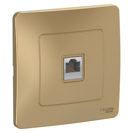 Розетка компьютерная 1-м СП Blanca RJ45 кат.5E титан SE BLNIS045004 APC