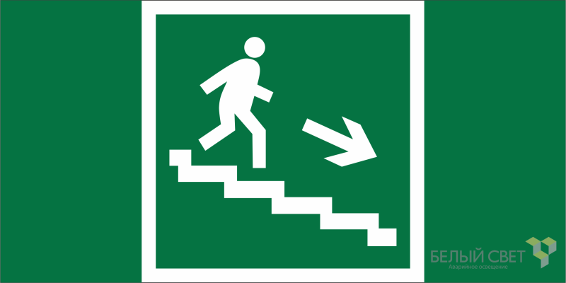 Знак безопасности NPU-2110.E13 "Направление к эвакуационному выходу по лестнице вниз (правосторонний)" Белый свет a11854 BS