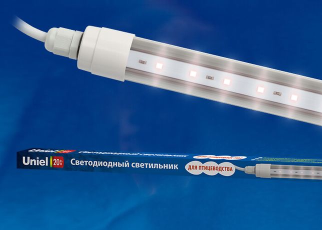 Светильник светодиодный для птиц ULY-P61-20W/SCEP/K IP65 DC24V WHITE линейный, 1250мм,c коннектором.Спектр яйценоскости,Uniel - UL-00001608