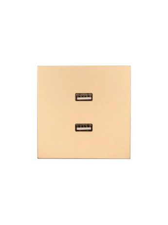 Розетка 2-мест. USB разъем СП ZIMA IP20 зол. LEZARD 704-3688-192