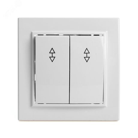 Переключатель двухклавишный, серия Эрна, белый, Stekker - PSW10-9005-01 39919 FERON