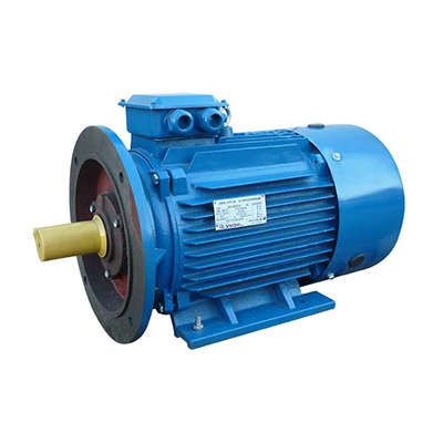 Электродвигатель (5АИ) 180 S4 22,0кВт 1500 об./мин. IM 2001 (комби (лапы+фланец)) | 01.01.213696 Элком ОРЛАН