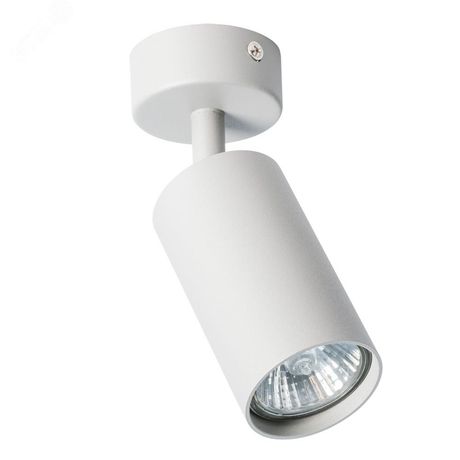 Светильник Arte Lamp AQUARIUS A3216PL-1GY
