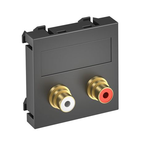 Мультимедийная рамка Audio-Cinch Modul45 (черный) (MTG-2R L SWGR1) | 6105045 OBO Bettermann