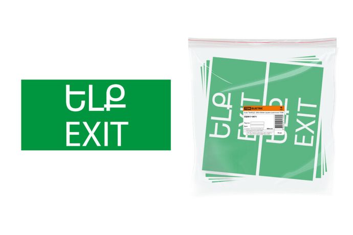 Знак "ВЫХОД" 200х100мм (армянский язык) | SQ0817-0071 TDM