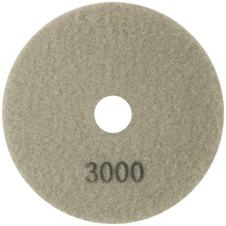 Алмазный гибкий шлифовальный круг 100x3мм Р3000 - 76-600 РОС