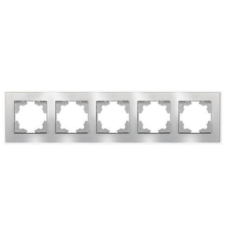 Афина рамка стеклянная пятиместная универсальная, серебро (еврослот) - 2270 Союз