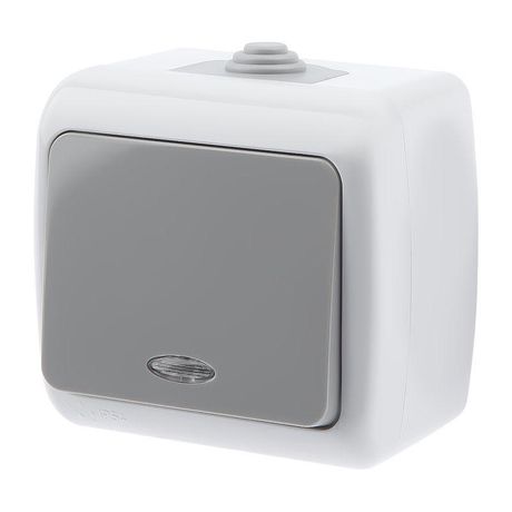 Выключатель Intro Atlantic 5-102-03 с подсветкой, 10А-250В, IP54, открытой установки, серый ЭРА - Б0050941