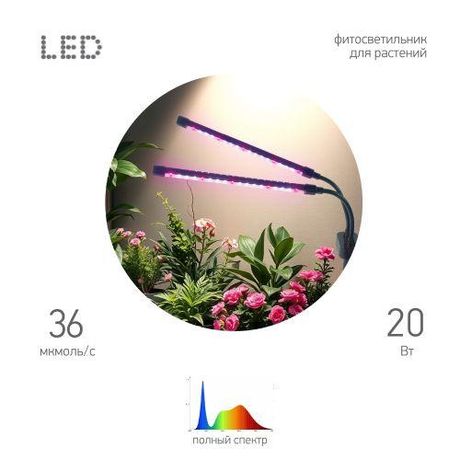 Светильник светодиодный настольный полного спектра 20 Вт для растений черный FITO-20W-АLED-Ra-USB - Б0068236 ЭРА