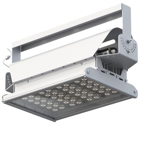 Светильник светодиодный "Эверикс" LED-100-Г60.4-IP66-УХЛ1(1/LIRA/740/RAL7035/TG/AC230/E/Х/G1) GALAD 20697