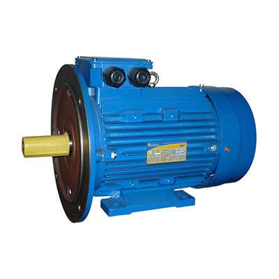 Электродвигатель (5АИ) 112 МВ8 3,0кВт 750 об./мин. IM 2081 (комби) | 01.01.213721 Элком ОРЛАН